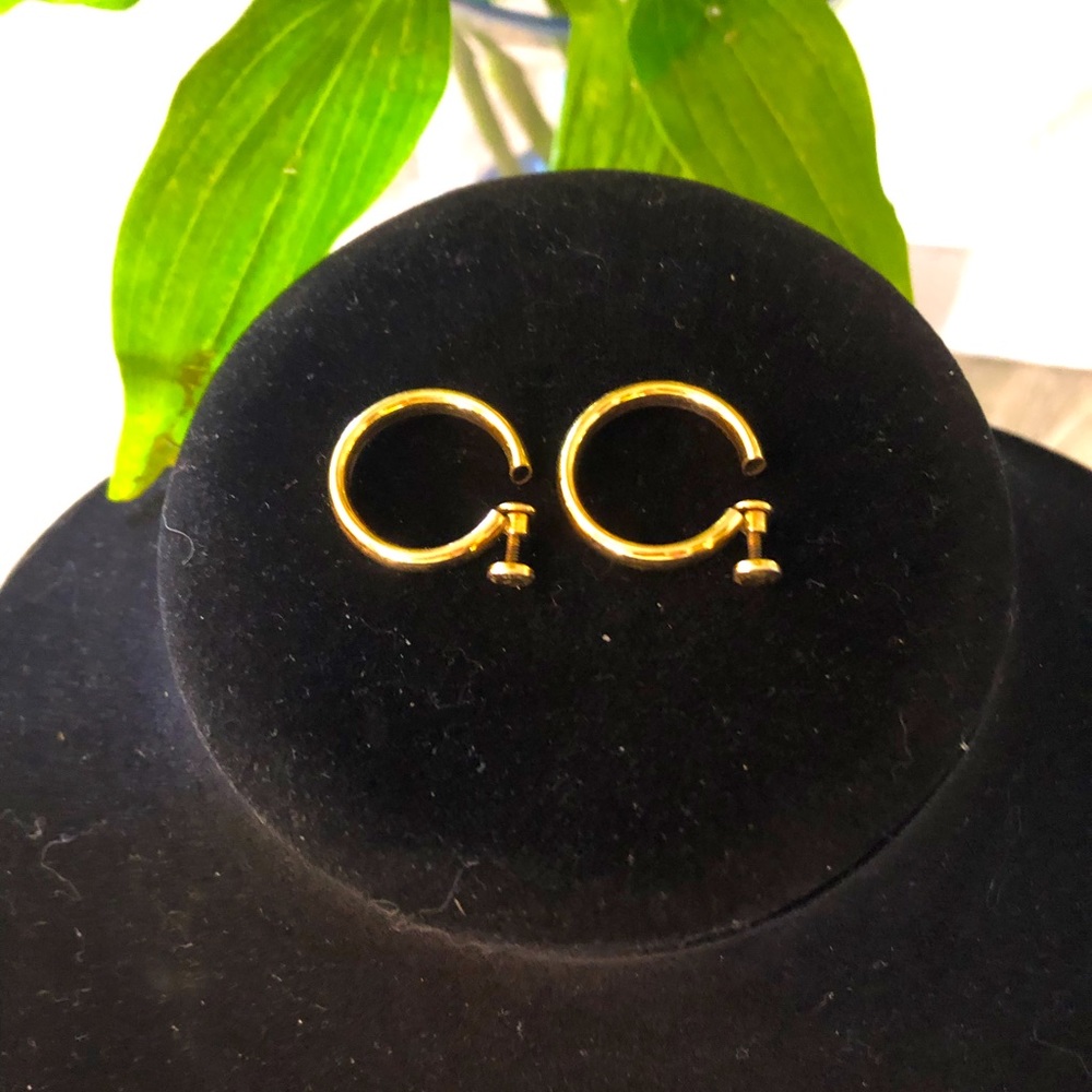 Vintage earrings